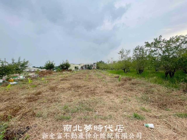 台南六甲農地-0