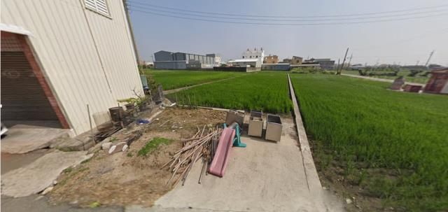 大安區東西二路農地種植經濟農作物果樹