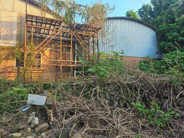 南投名間農地-5