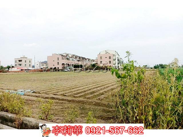台南佳里農地-9