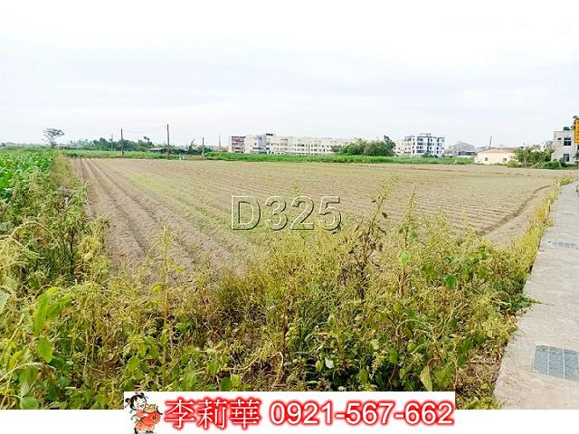 台南佳里農地-12