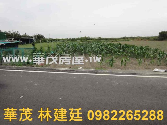 台南將軍農地法拍-10