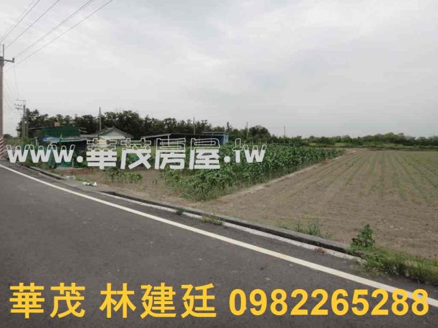 台南將軍農地法拍-2