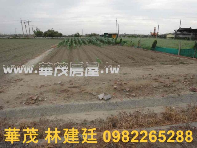 台南將軍農地法拍-3