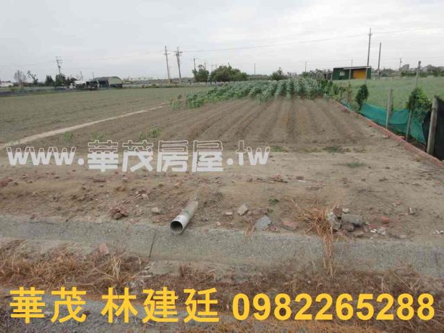 台南將軍農地法拍-7