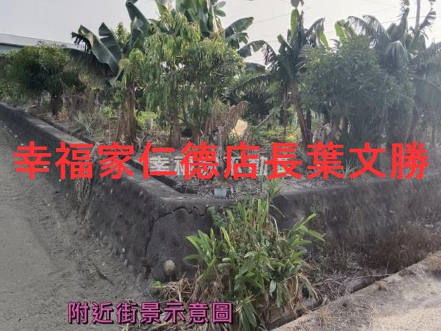 台南新市農地-5