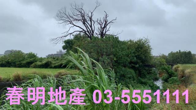 新竹芎林農地-2