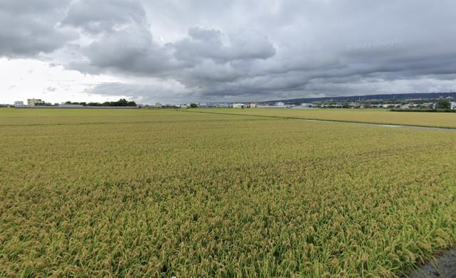 台中龍井農地-1