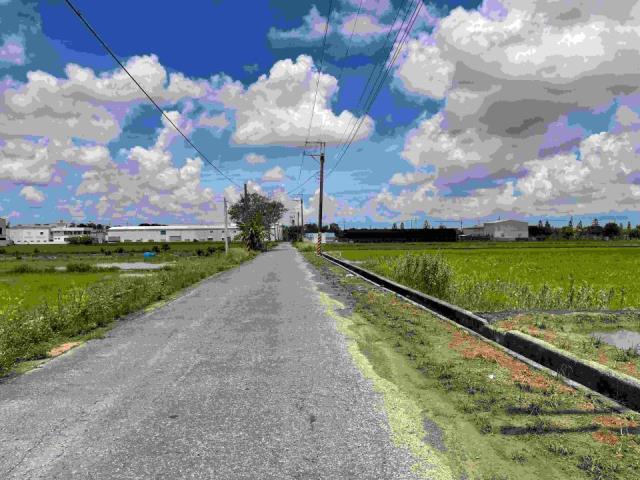 台南新化農地-2