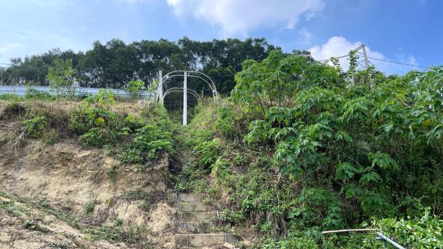 寶山農地-14