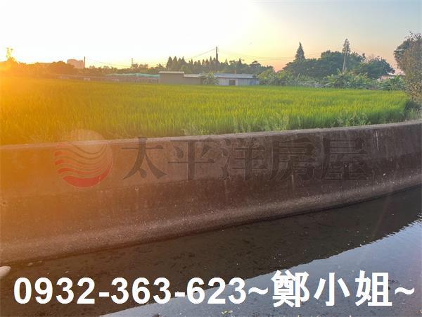 桃園農地-4
