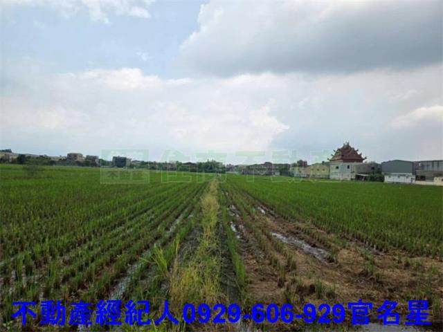 嘉義農地-0