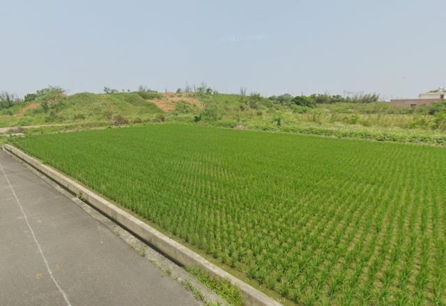 桃園農地-0