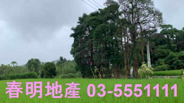新竹農地-0