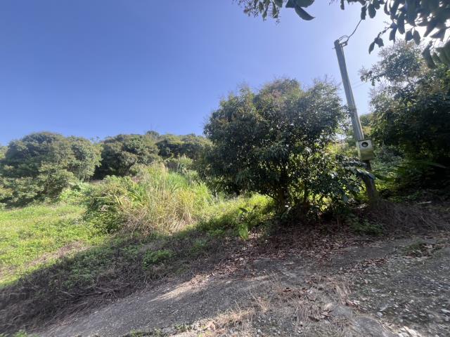 台中太平農地-5