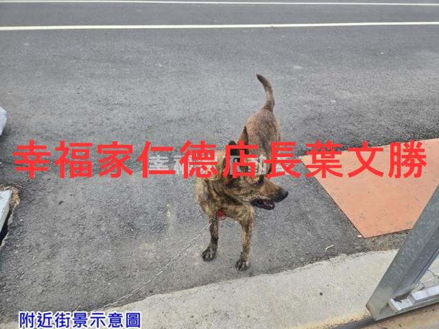 台南佳里農地-12