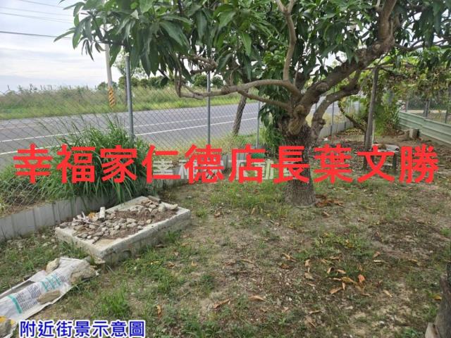 安定近南科方正漂亮美農地