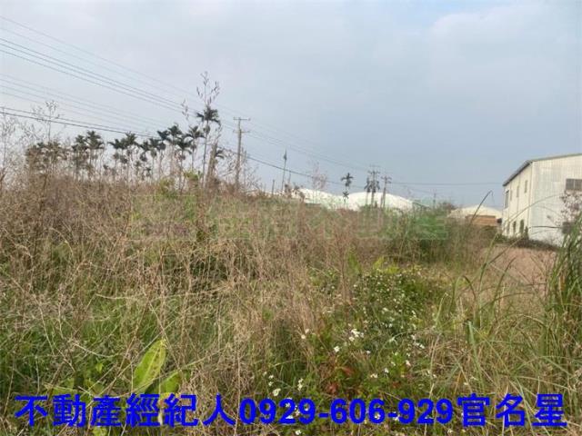 嘉義西區農地-1