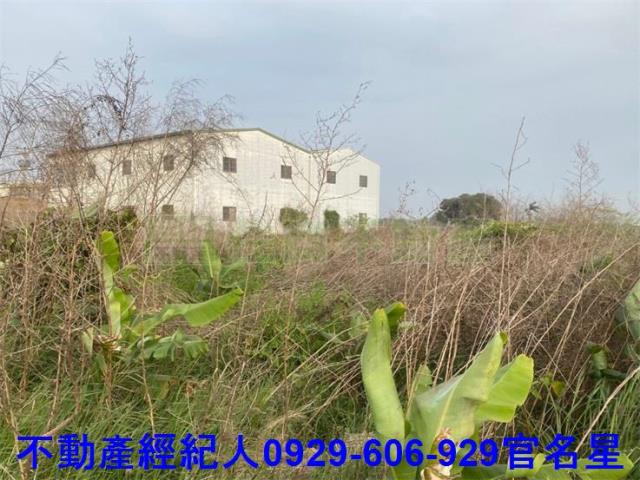 嘉義西區農地-4