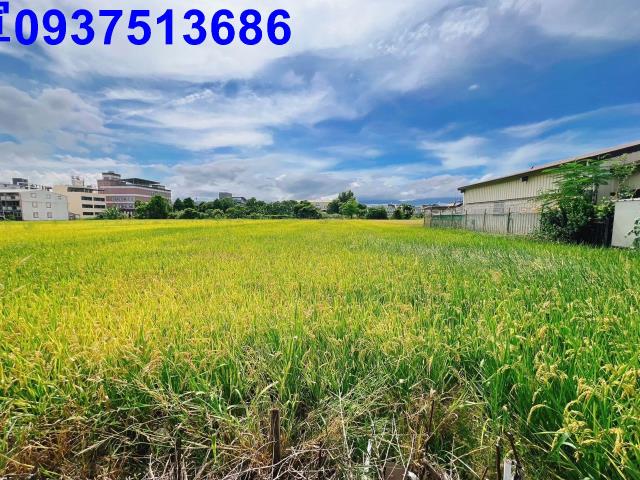 宜蘭壯圍農地-9