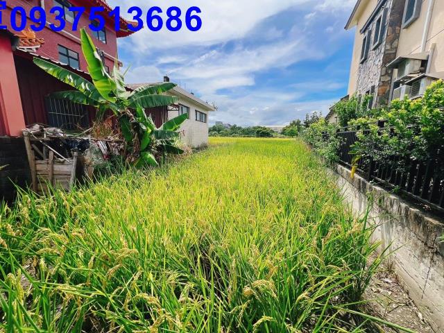 宜蘭壯圍農地-11