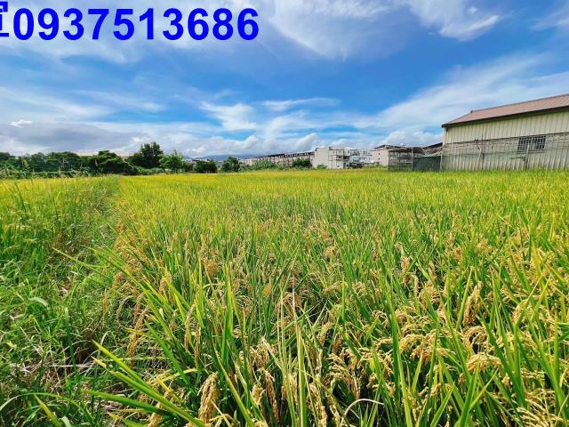 宜蘭壯圍農地-5