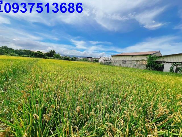 宜蘭壯圍農地-6