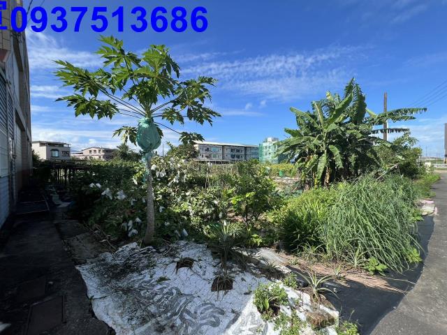 宜蘭宜蘭市農地-1