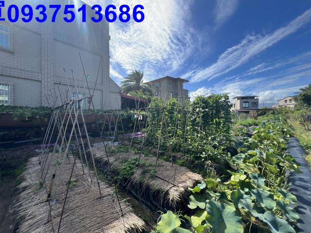 宜蘭宜蘭市農地-2