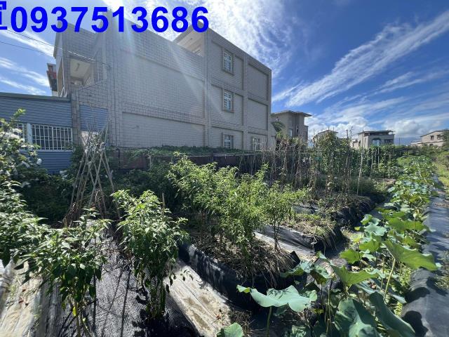 宜蘭宜蘭市農地-4