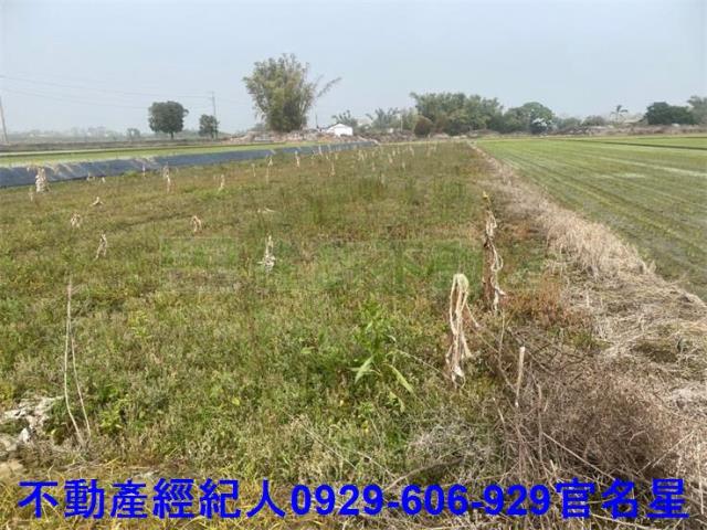 嘉義西區農地-4
