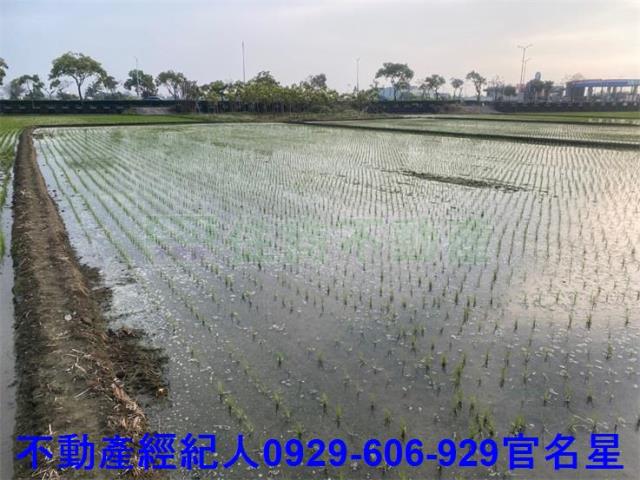嘉義西區農地-0