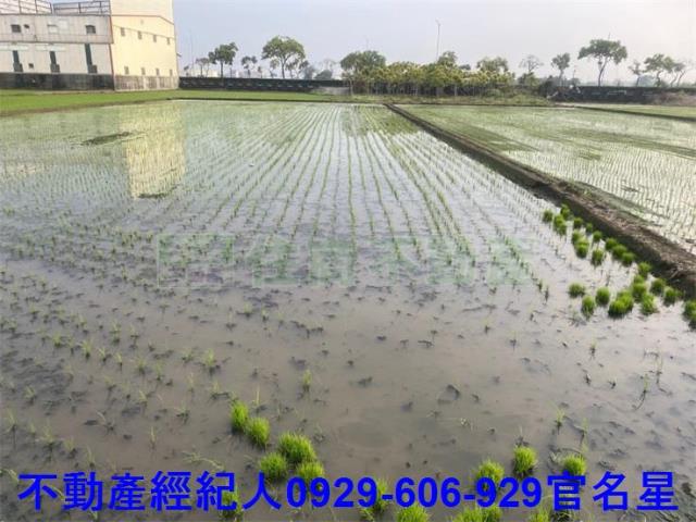 嘉義西區農地-2