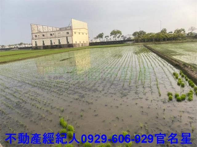 嘉義西區農地-5