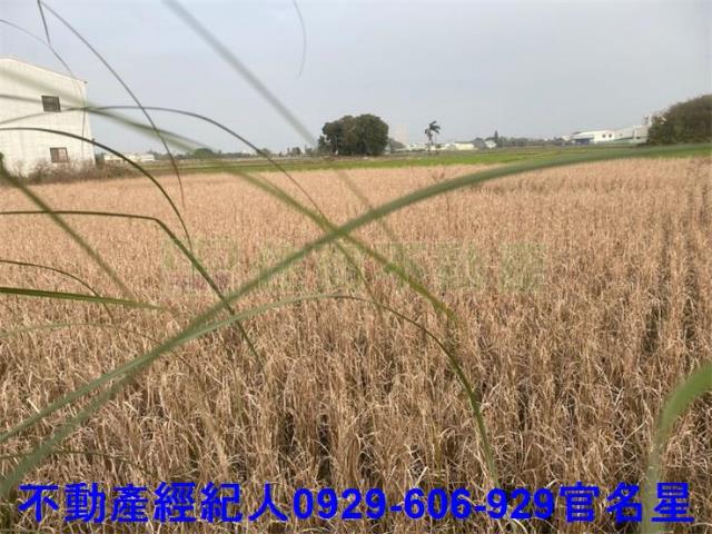 嘉義西區農地-0