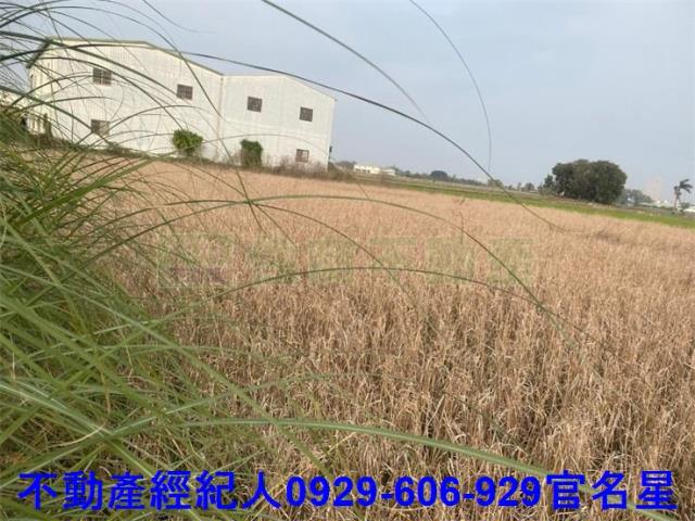 嘉義西區農地-2