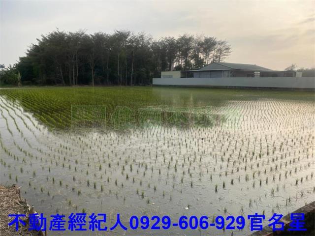 嘉義西區農地-3