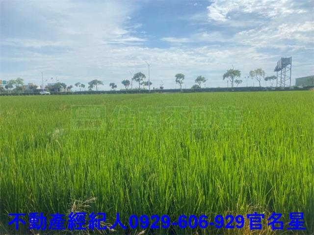 嘉義西區農地-0