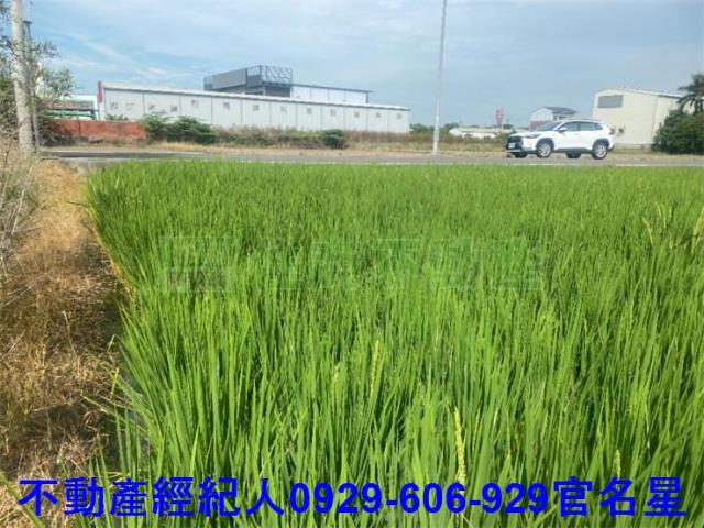 嘉義西區農地-1