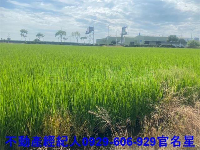 嘉義西區農地-2