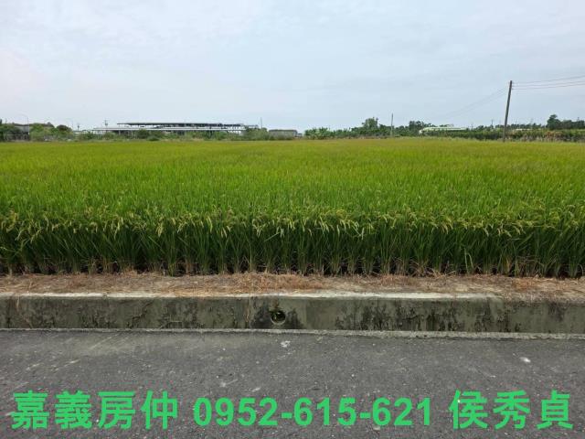 嘉義水上農地-1