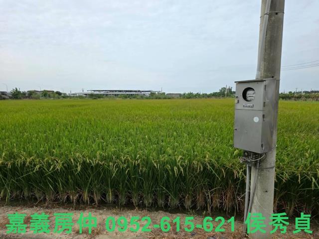 嘉義水上農地-2