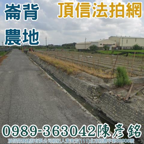 崙背農地法拍-1