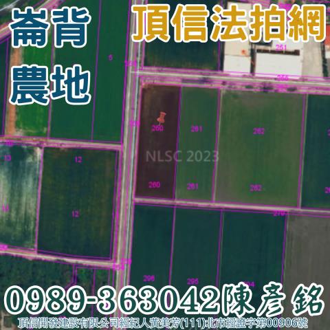 崙背農地法拍-2