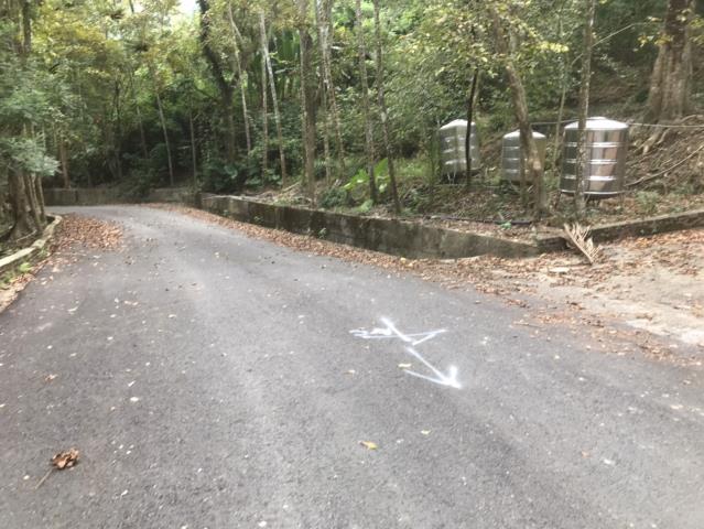 南投鹿谷農地-13