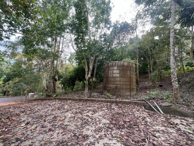 南投鹿谷農地-6