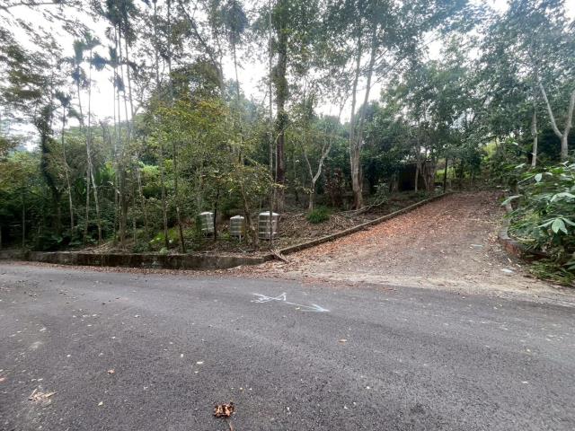 南投鹿谷農地-7