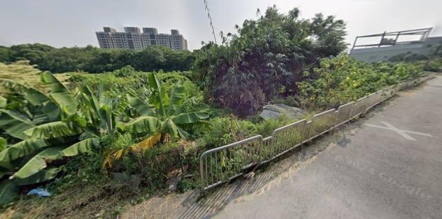 大安法拍大安農地大安土地