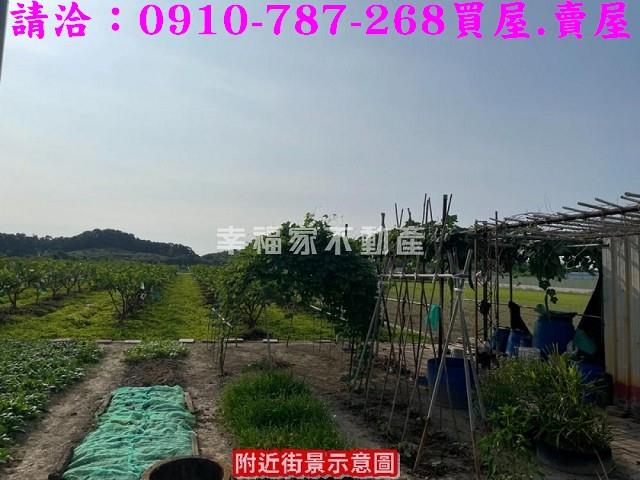 台南農地-2