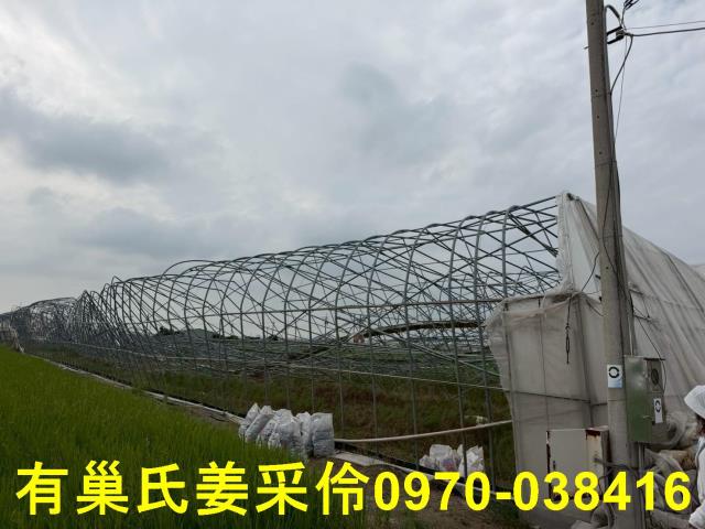 嘉義太保農地-8